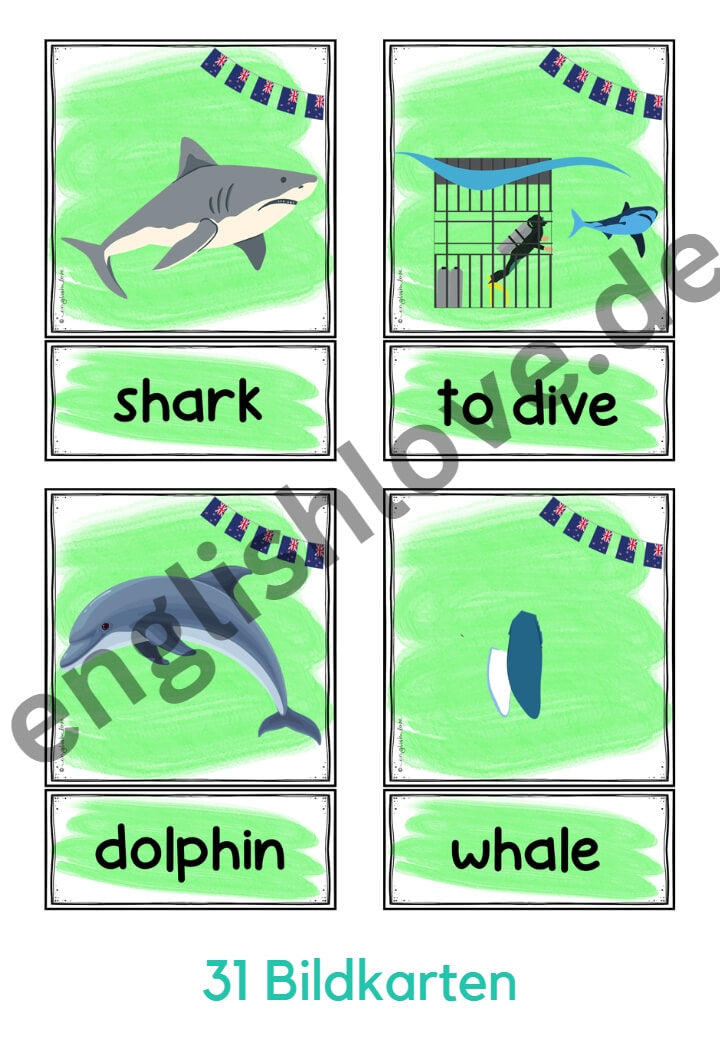 31 Picture Word Cards (Bildkarten) Vokabular Neuseeland