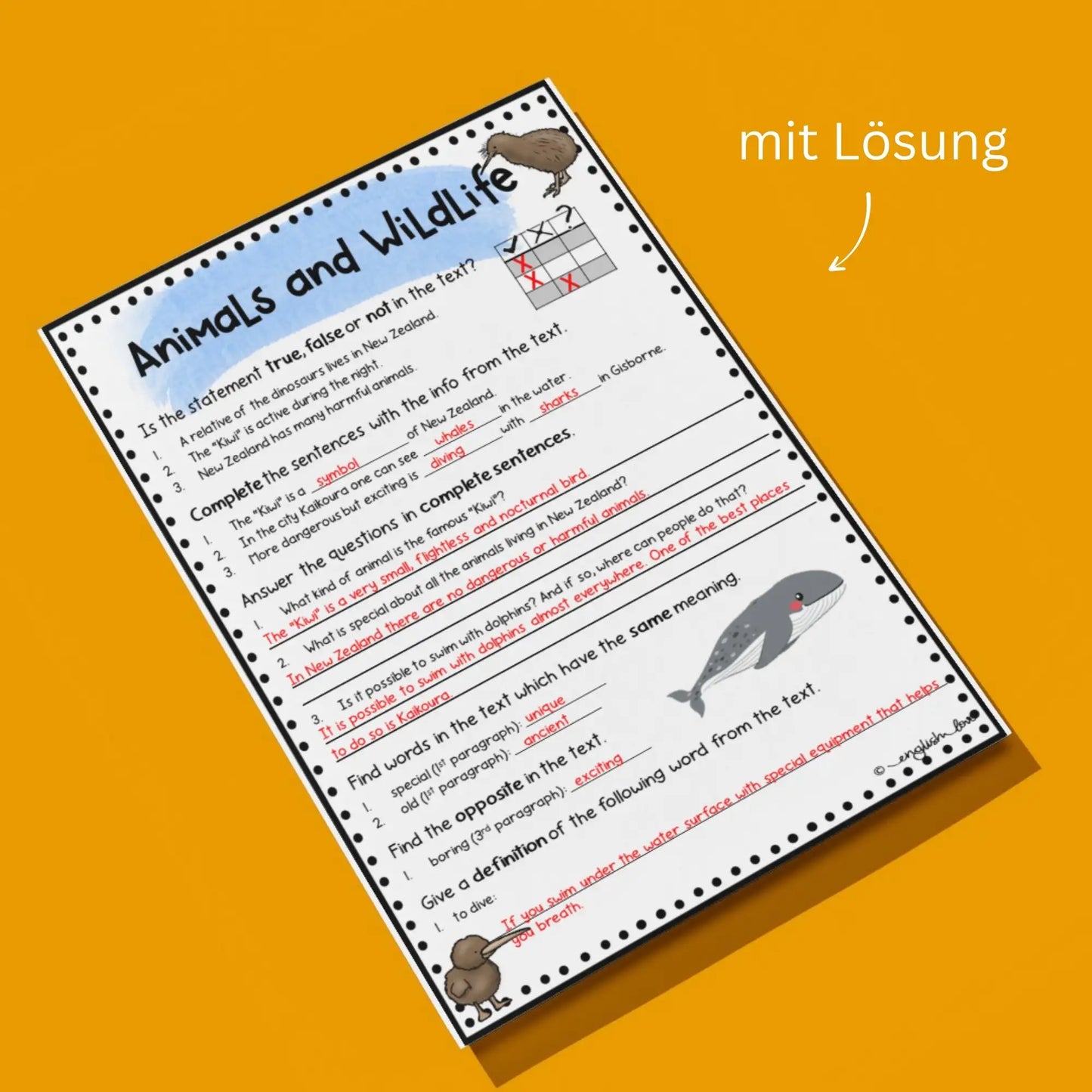 New Zealand Reading Comprehension Lösung