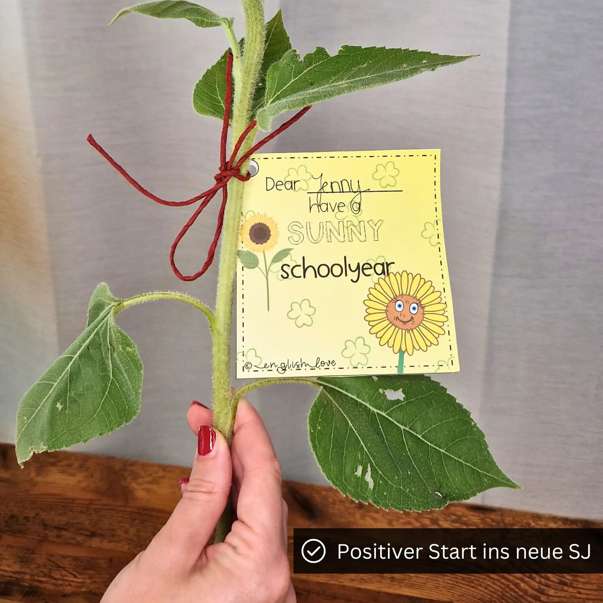 Geschenk Schulstart Sonnenblume Willkommensgrußneues Schuljahr