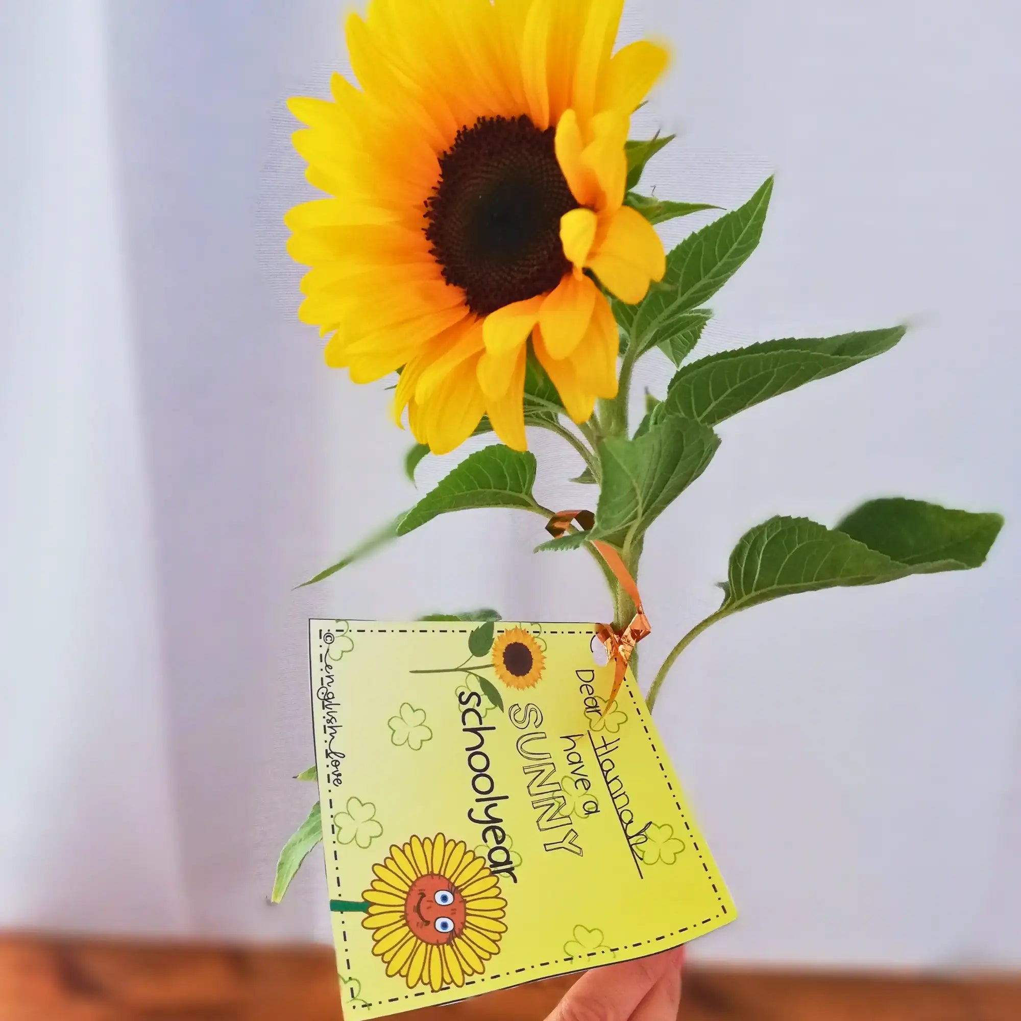 Geschenk Schulstart Sonnenblume Willkommensgruß für Schüler Englisch