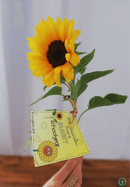 Willkommensgruß neues Schuljahr Sonnenblume mit Vorlage
